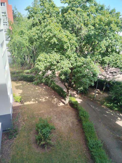 Keza'S Apartment - Страсбург Экстерьер фото